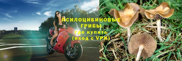 ешки Вязники