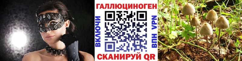 Галлюциногенные грибы Psilocybe  hydra ссылки  Ивдель 